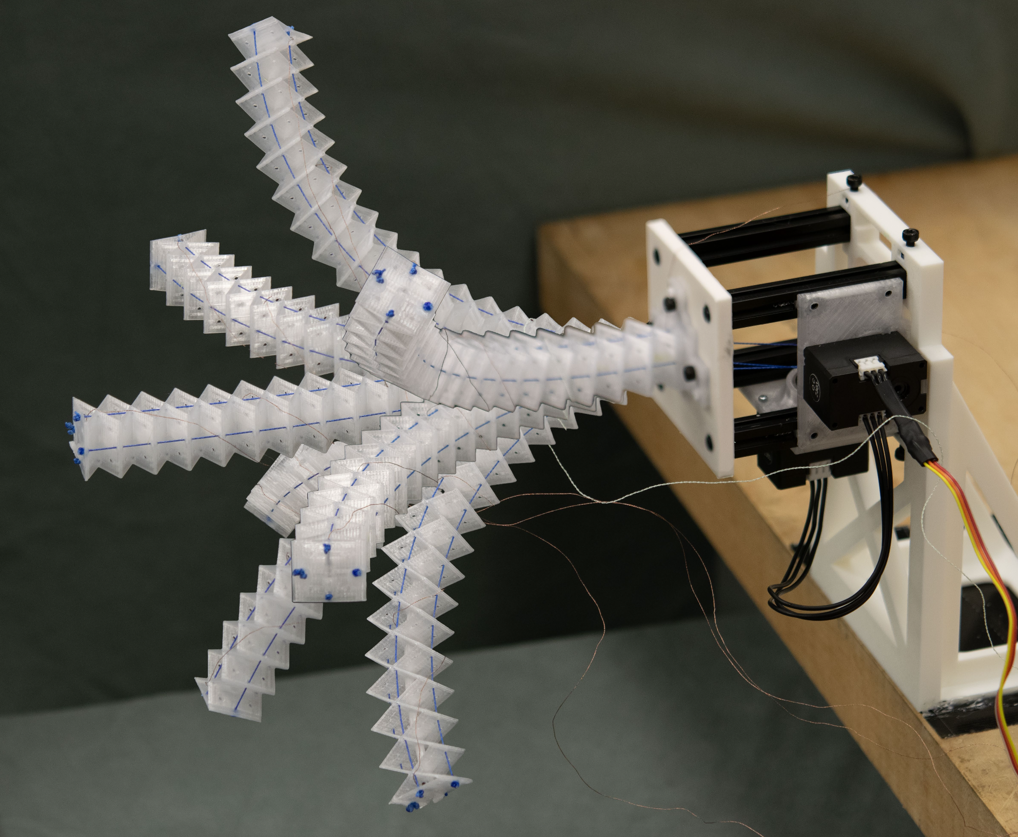 Continuum Robotics